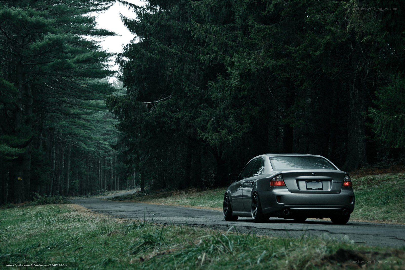 Silver car on forest road