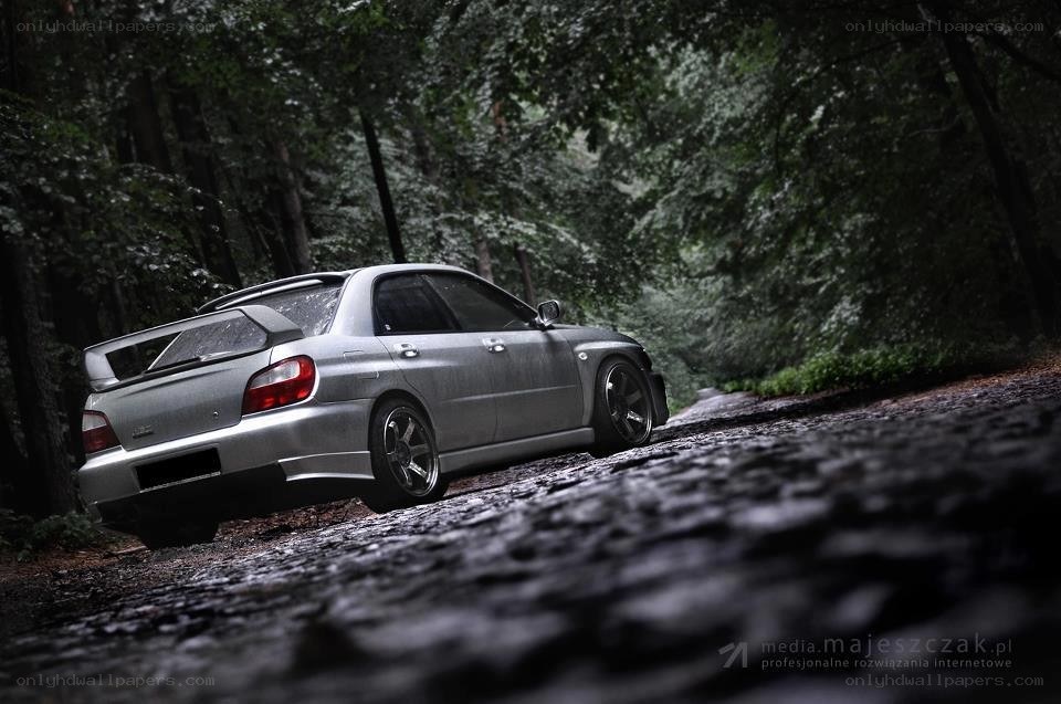 silver car on forest road