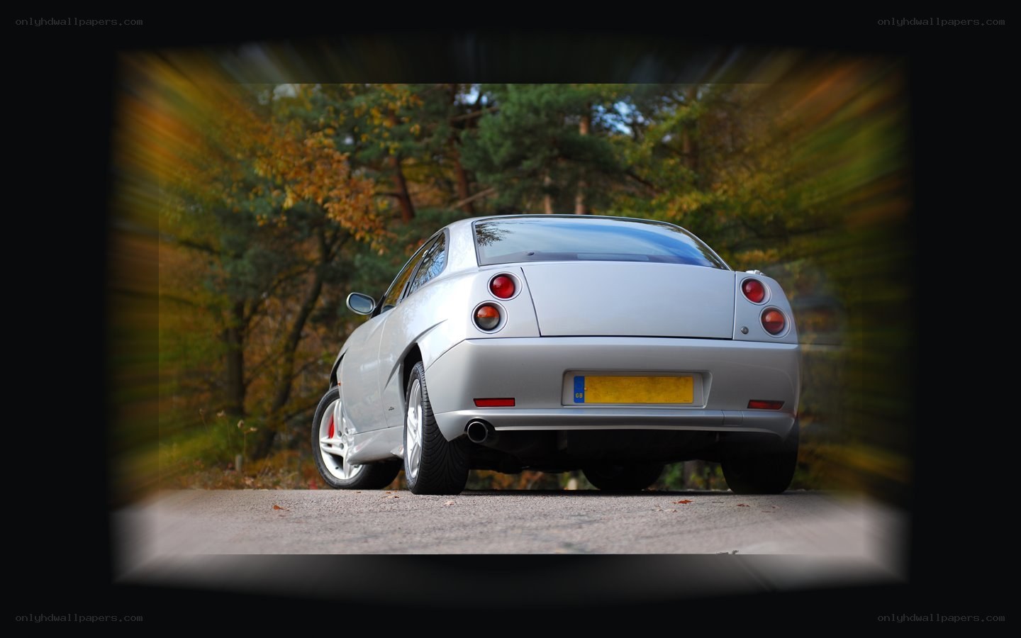 silver car on forest road
