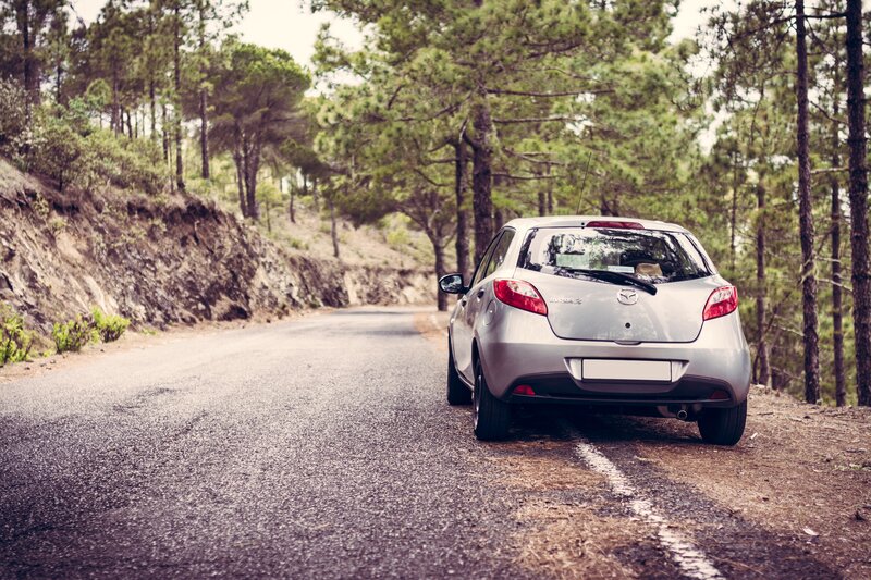 Silver Car on Forest Road — Gray, Serene