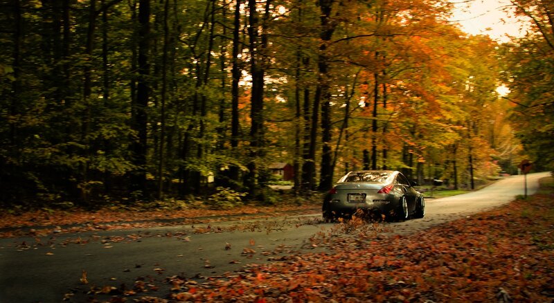 Silver Car on Road — Green, Serene