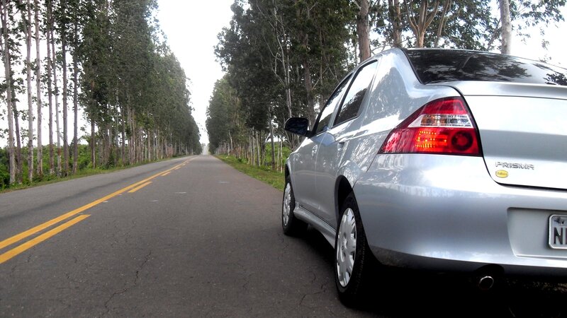 silver car on tree-lined road