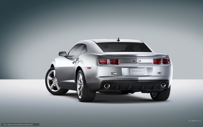 Silver Chevrolet Camaro — Neutral, Photograph