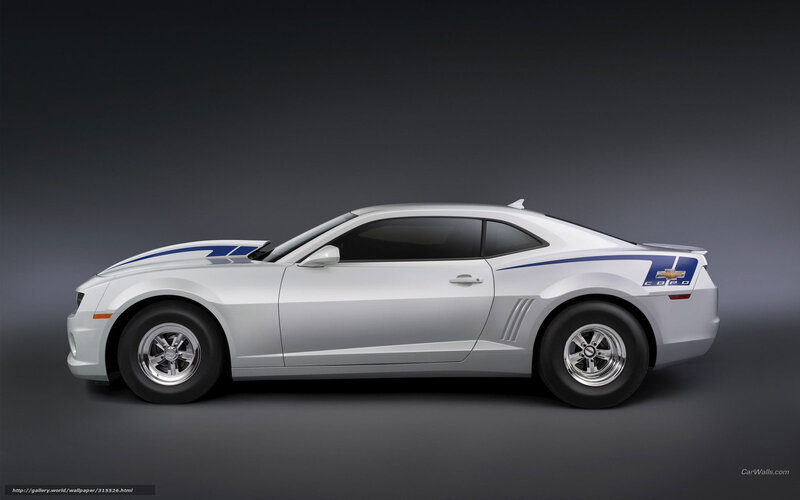 Silver Chevrolet Camaro — White