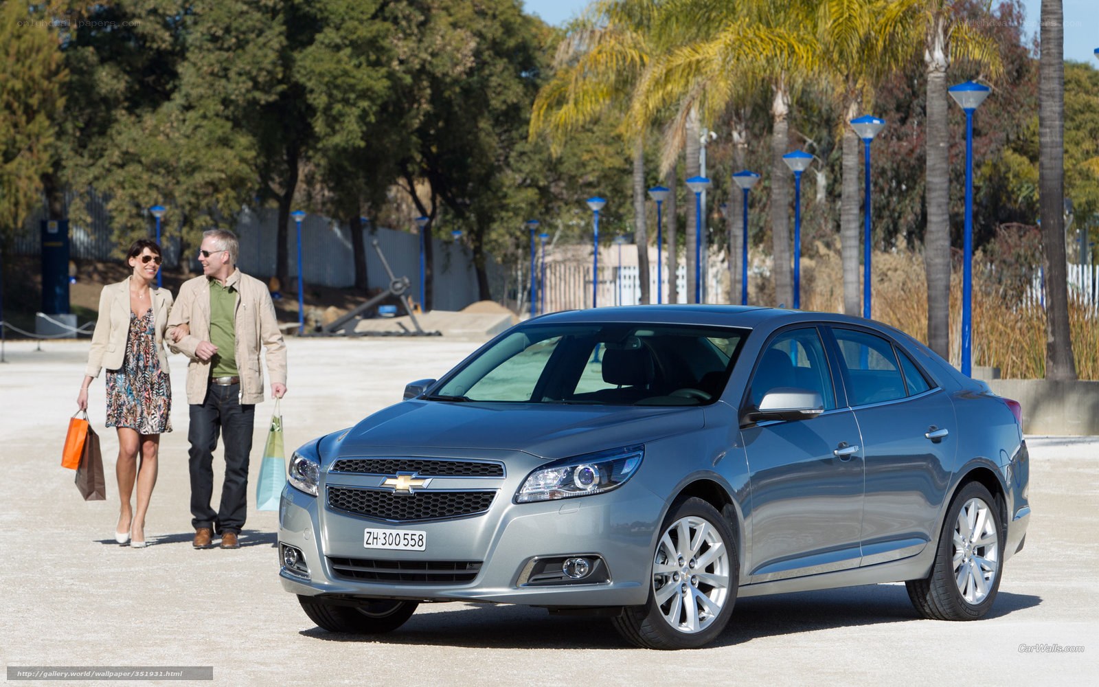 Silver Chevrolet Malibu on display