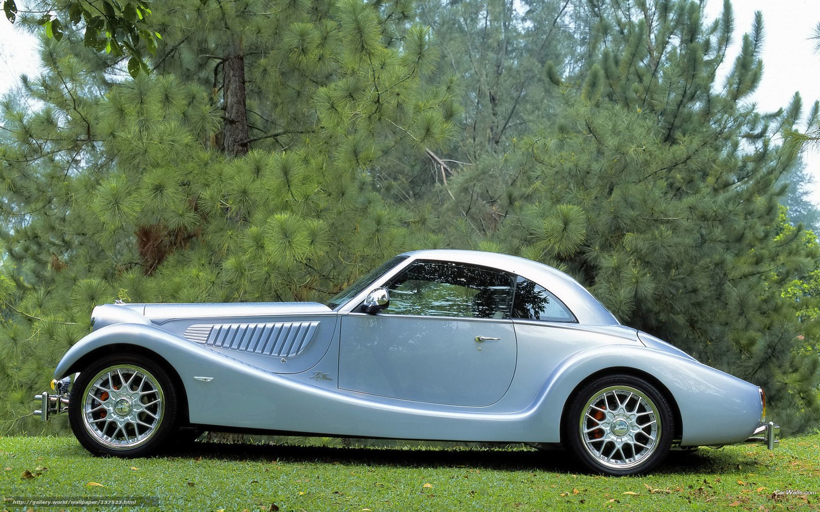 silver classic car on grass