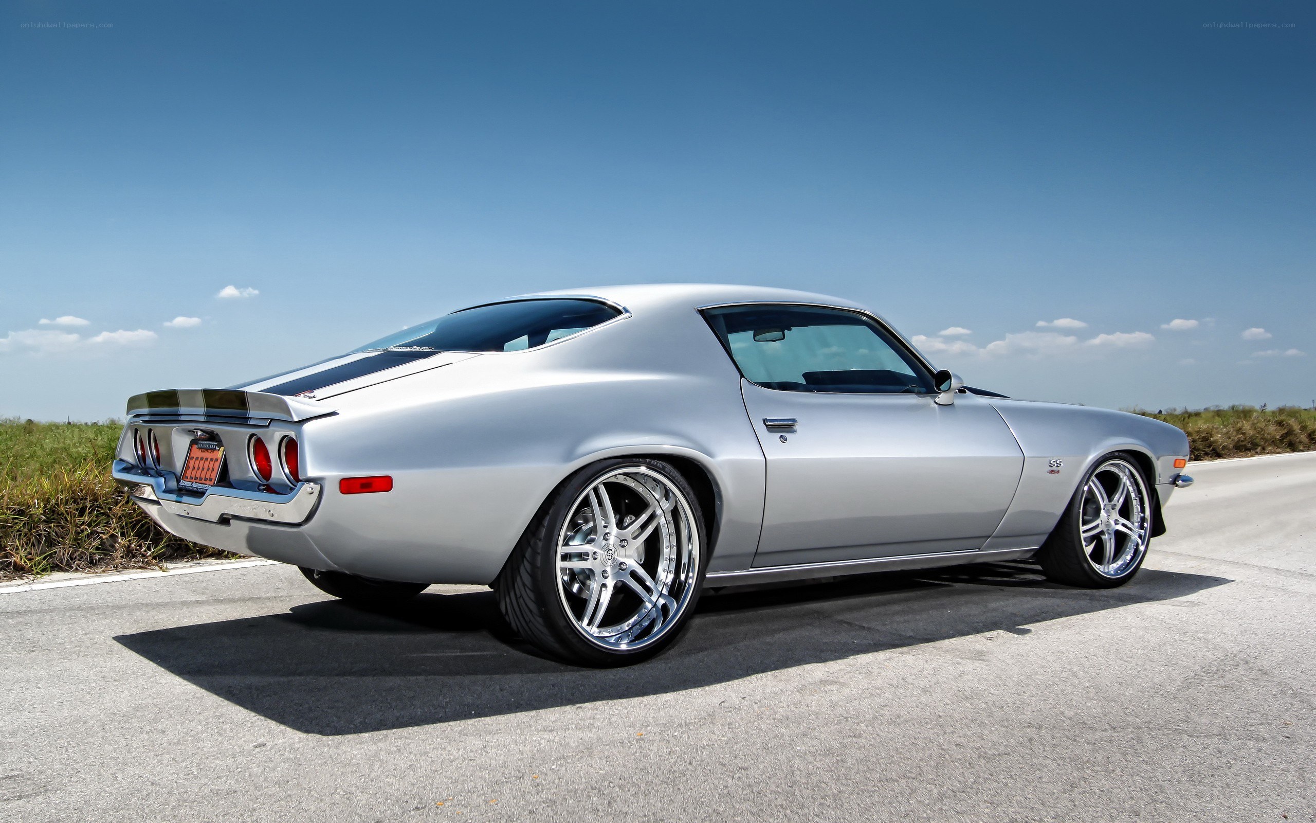 silver classic muscle car