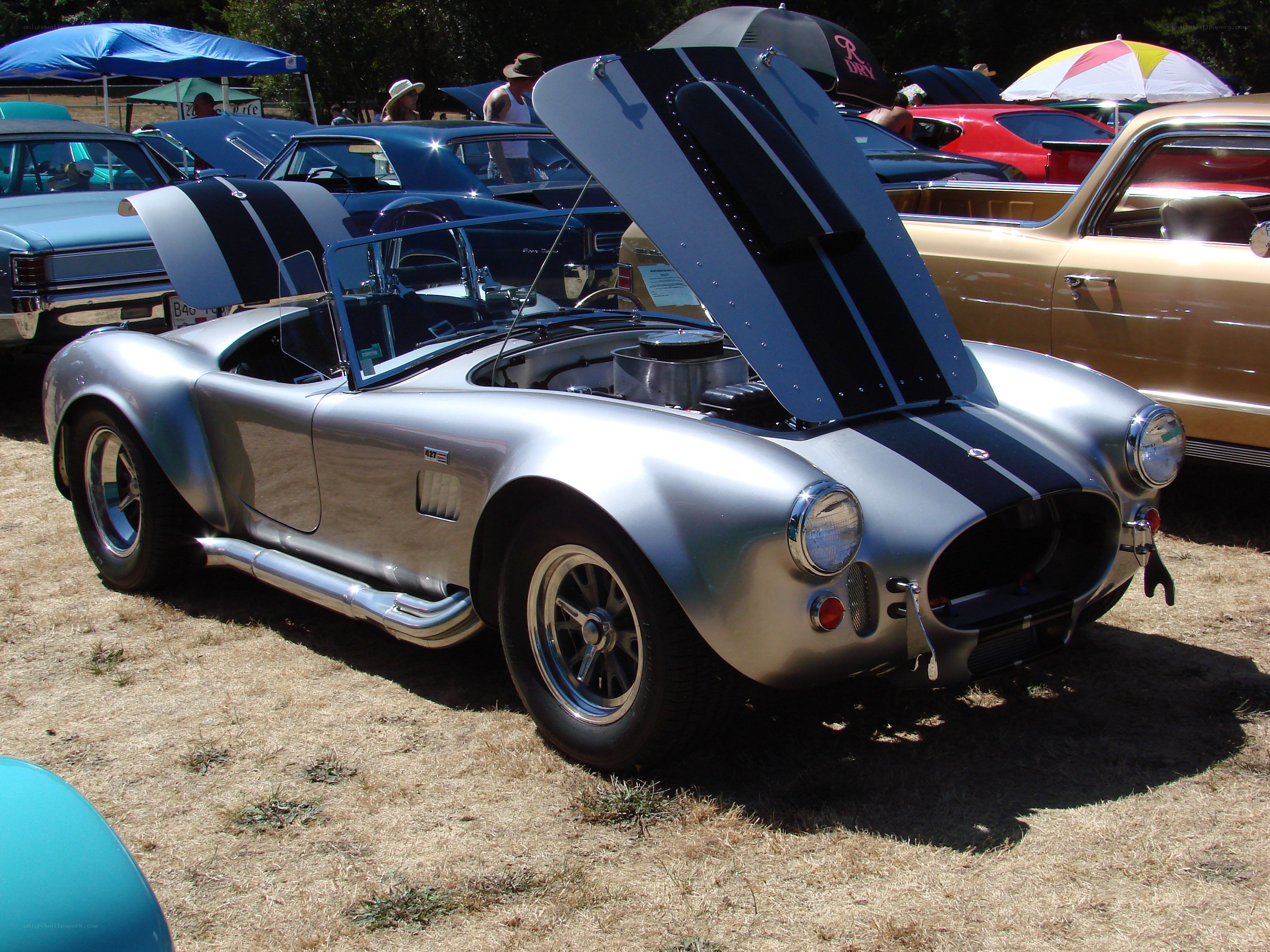 Silver Cobra at car show