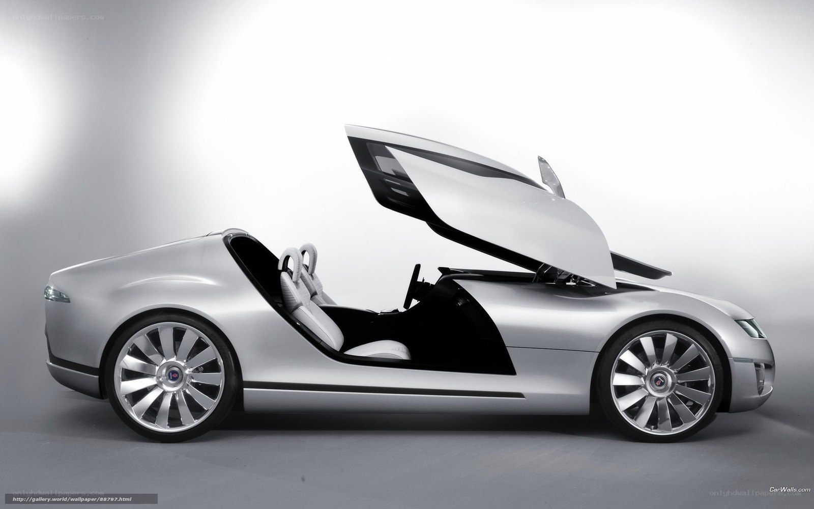 Silver concept car with open door