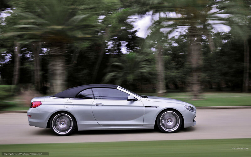 Silver Convertible Car — Dynamic, Afternoon, Photograph, Trees