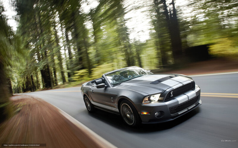 Silver Convertible Car — Gray, Dynamic, Afternoon, Photograph, Road, Trees