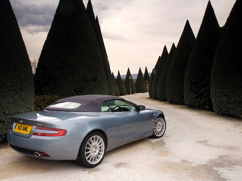 Silver Convertible Car — Gray, Serene, Afternoon, Photograph, Trees, Road