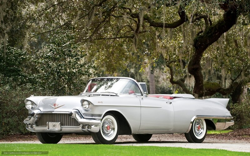 Silver Convertible Car — Serene, Afternoon, Photograph, Trees, Grass, Road