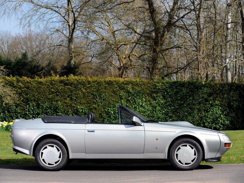 Silver Convertible Car — Serene, Spring, Photograph, Hedge