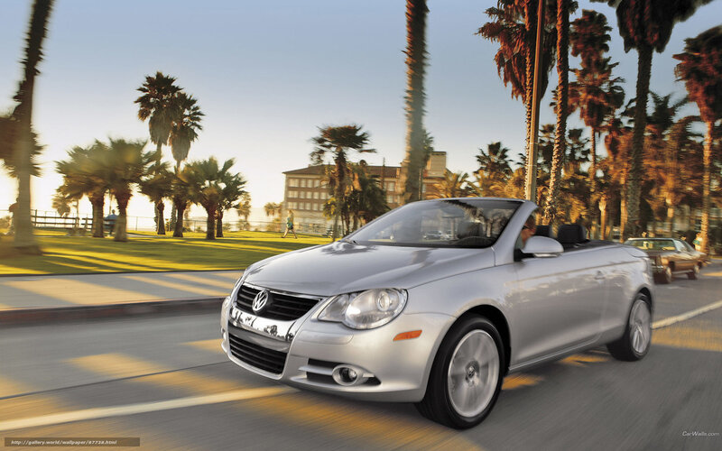 Silver convertible driving on a palm-lined street