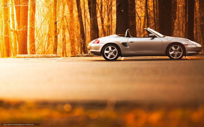 Silver convertible in autumn forest