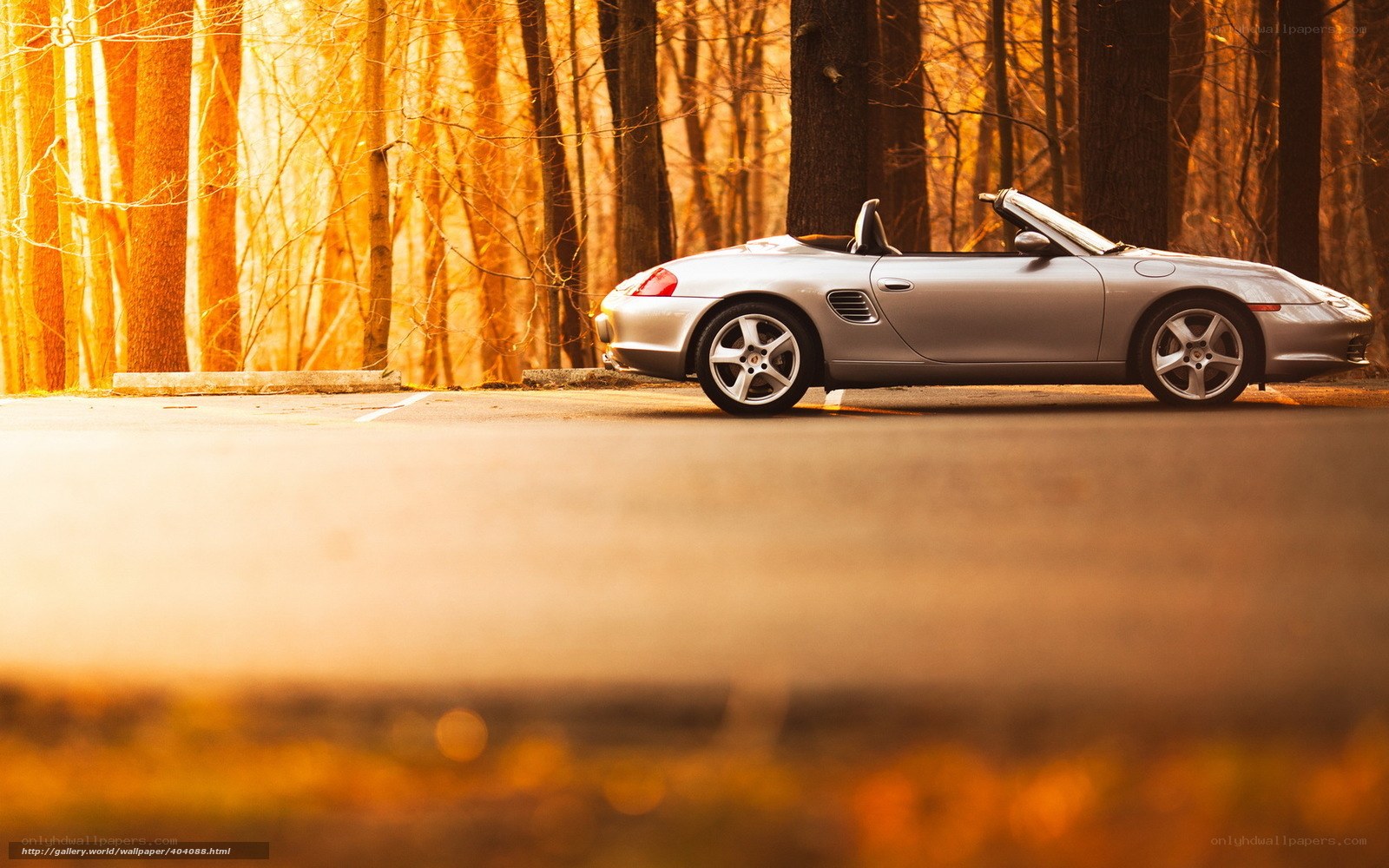 Silver convertible in autumn forest
