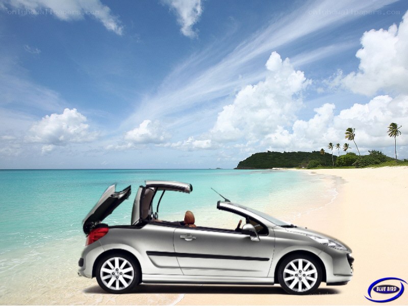Silver convertible on tropical beach