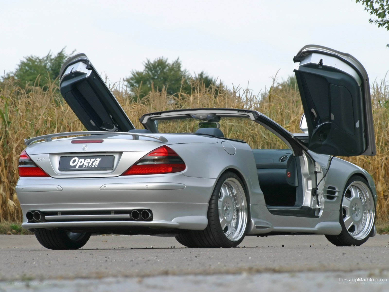 silver convertible with gullwing doors