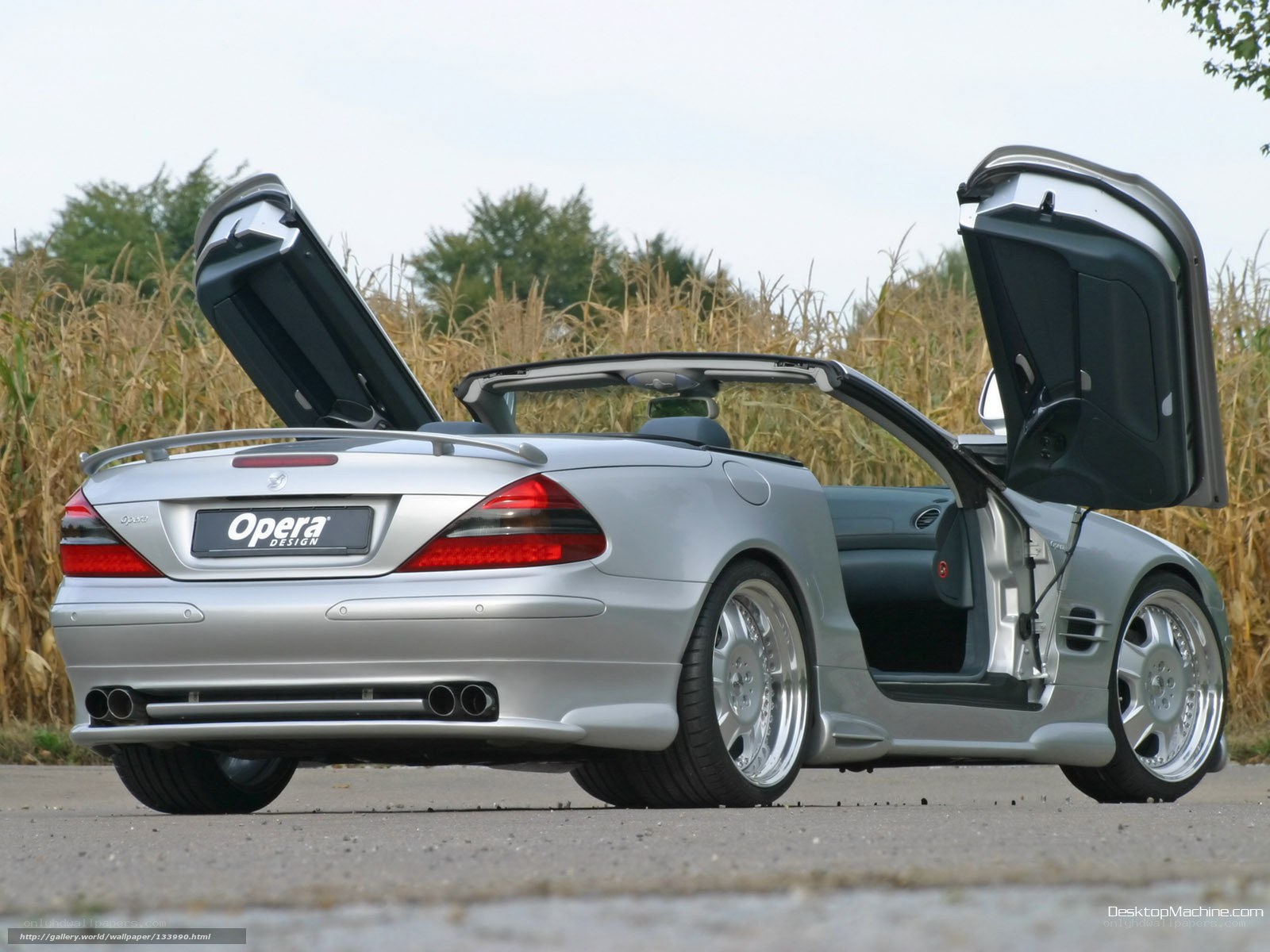 silver convertible with gullwing doors