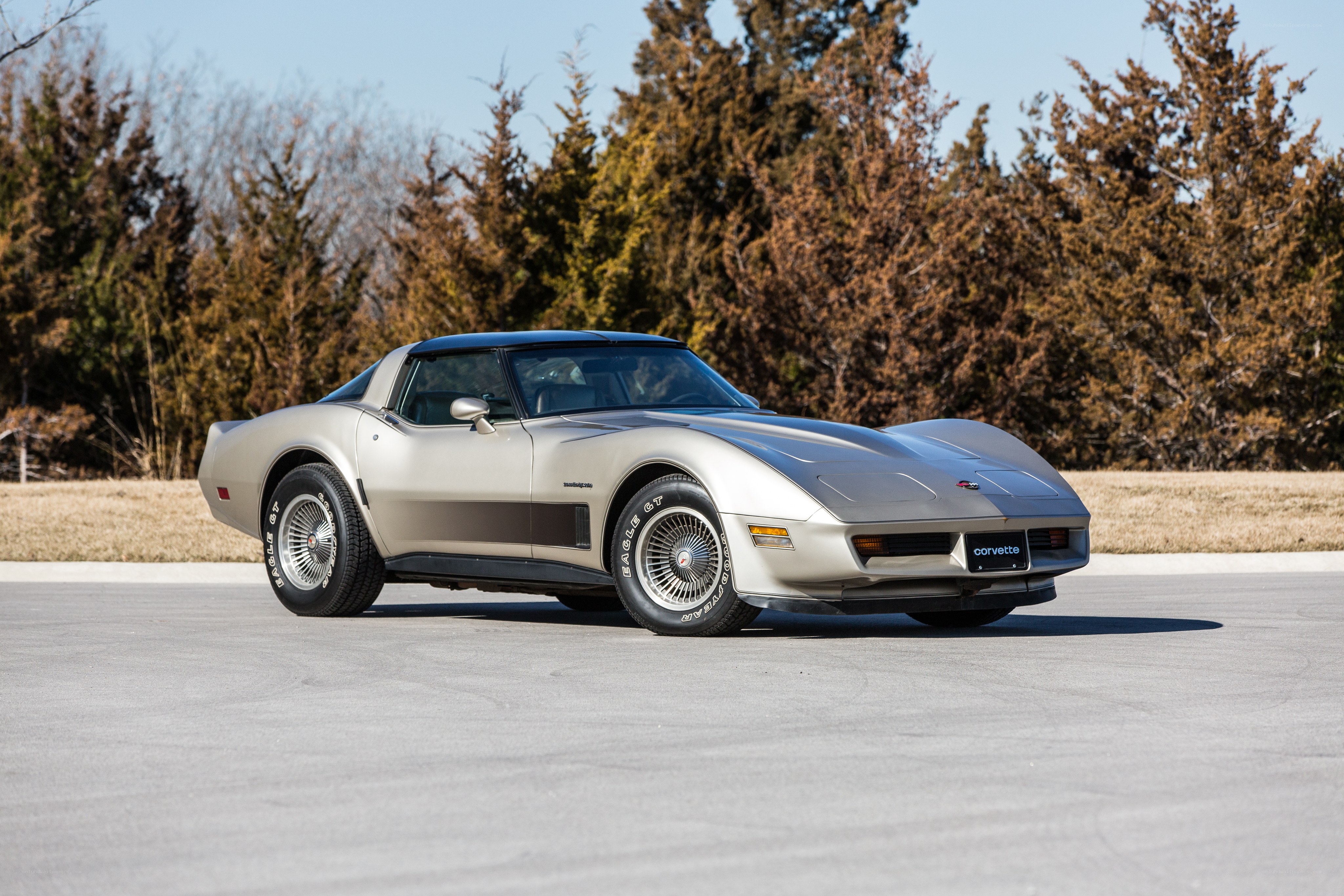 Silver Corvette C3 sports car