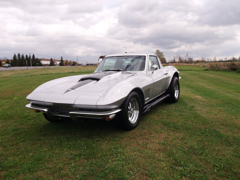Silver Corvette Car — Green, Calm, Afternoon
