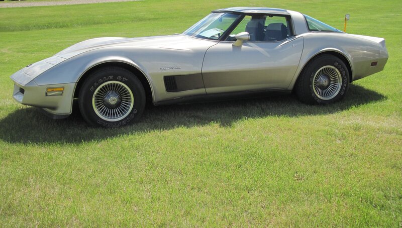 Silver Corvette Car — Green, Calm