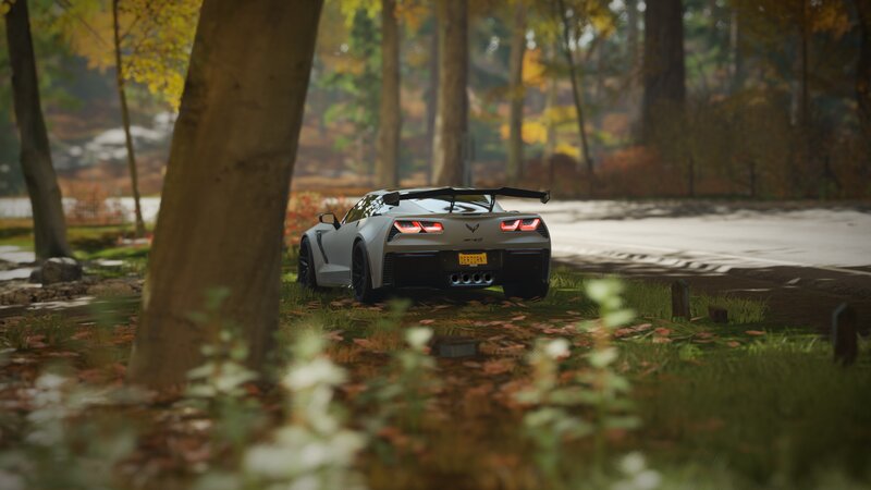 Silver Corvette in Forest — Green
