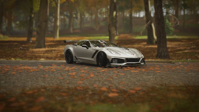 Silver Corvette in Forest