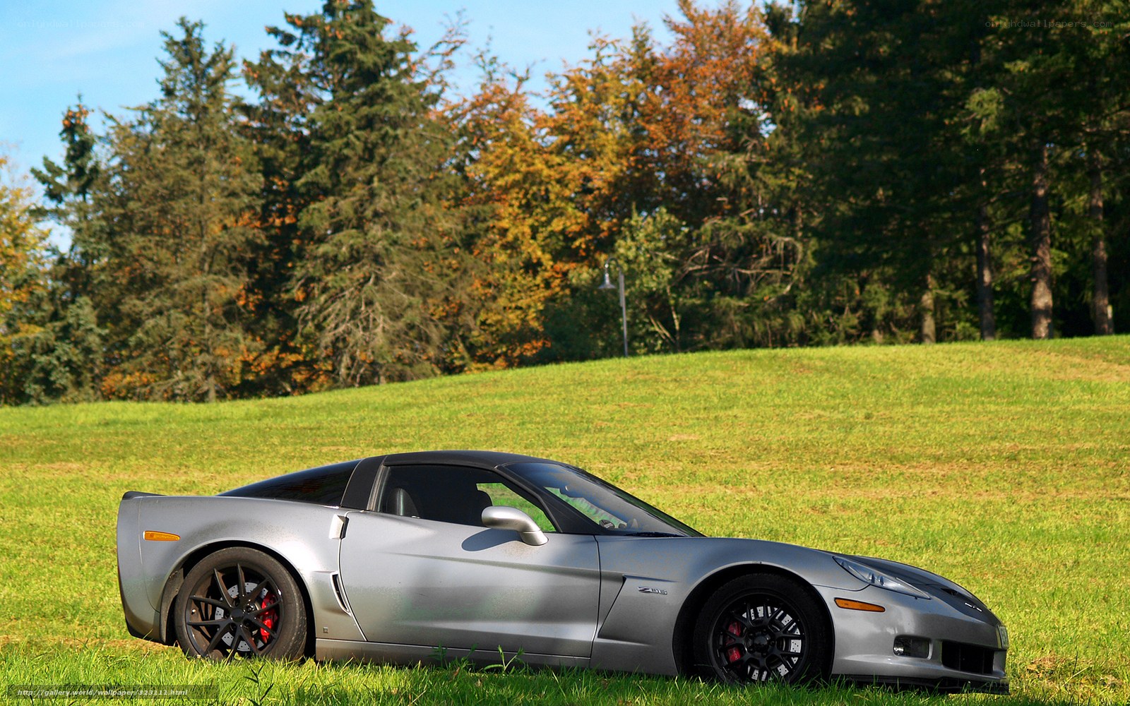 Silver Corvette on a grassy field