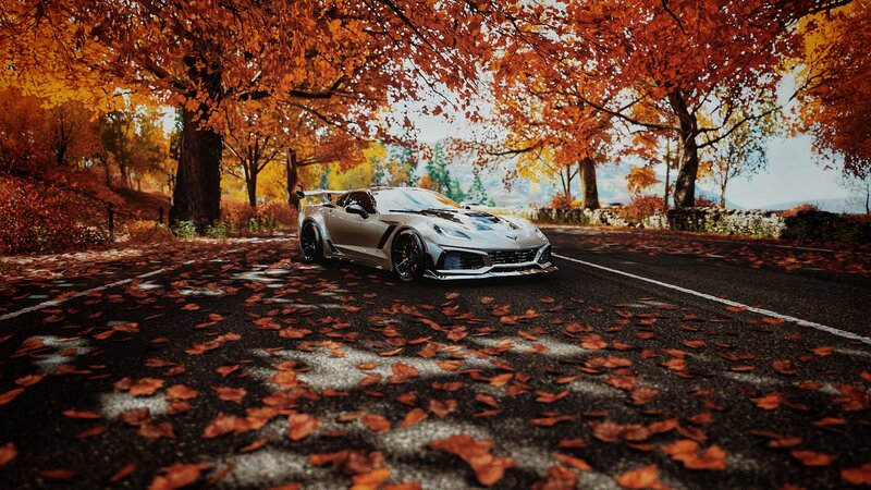 Silver Corvette on Road — Orange