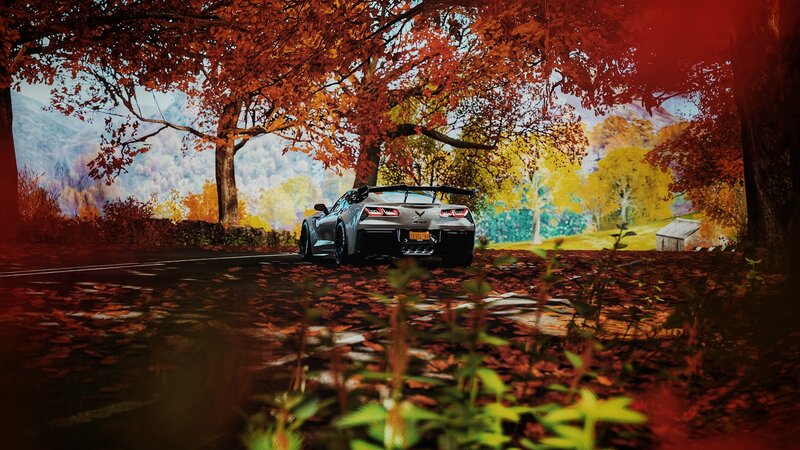 Silver Corvette on Road — Red