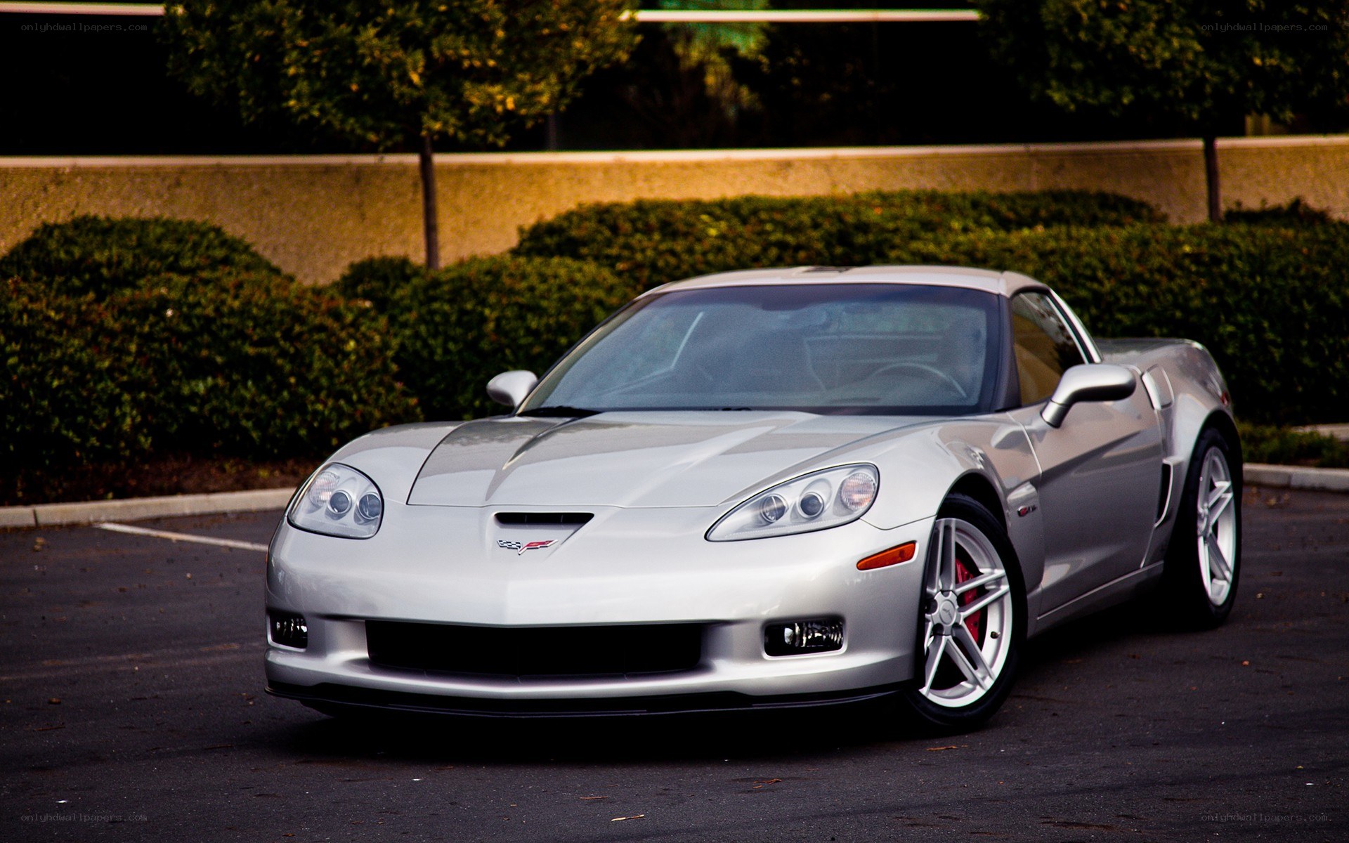 silver corvette sports car