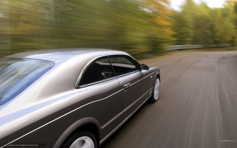 Silver Coupe Car — Gray, Dynamic