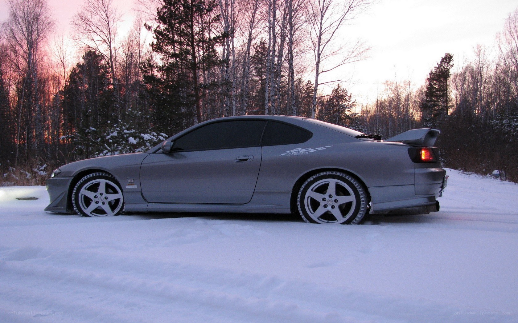 silver coupe in snowy forest