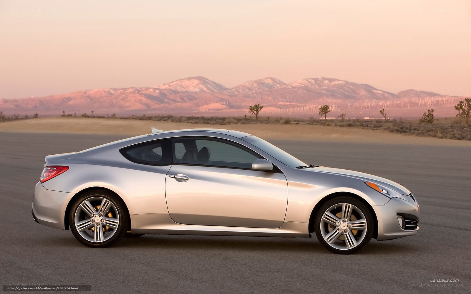 silver coupe on desert road