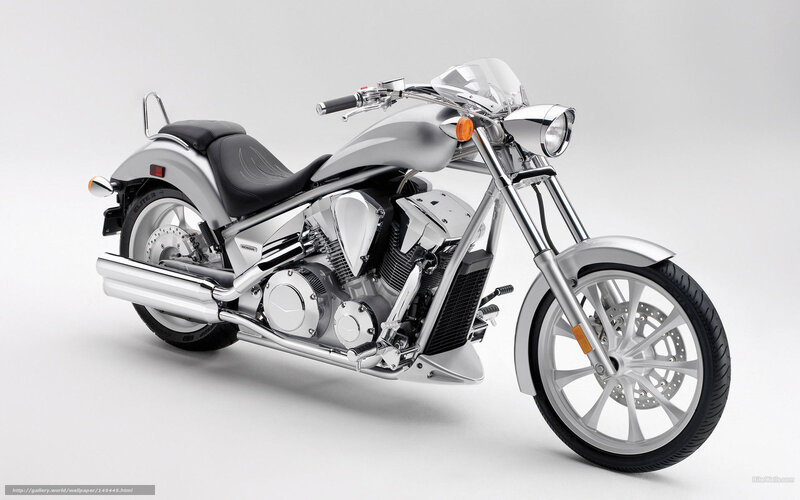 silver cruiser motorcycle