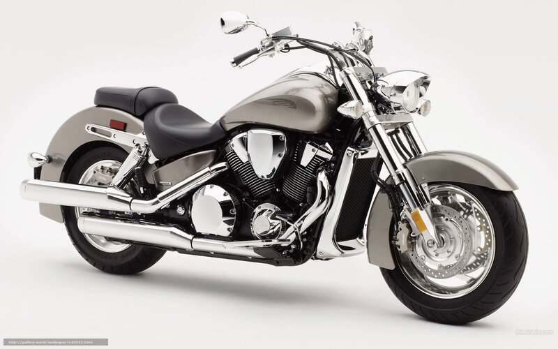 silver cruiser motorcycle