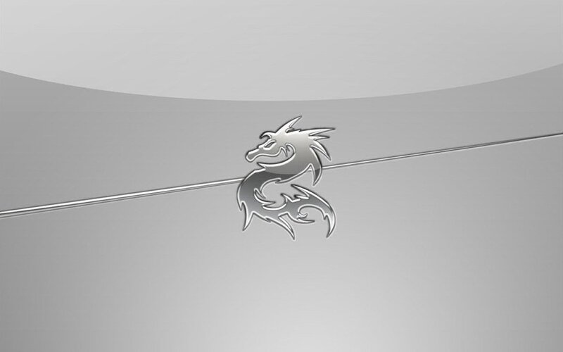 silver dragon emblem