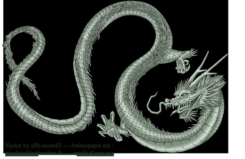 silver dragon illustration