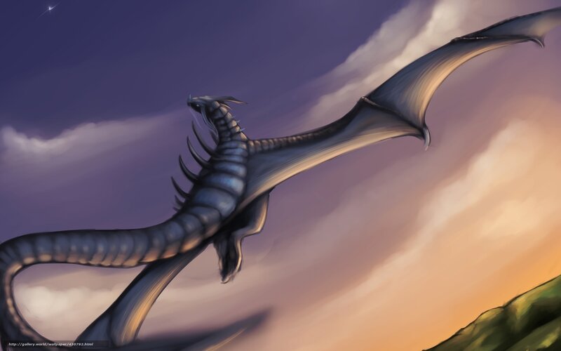 Silver Dragon in Flight — Purple