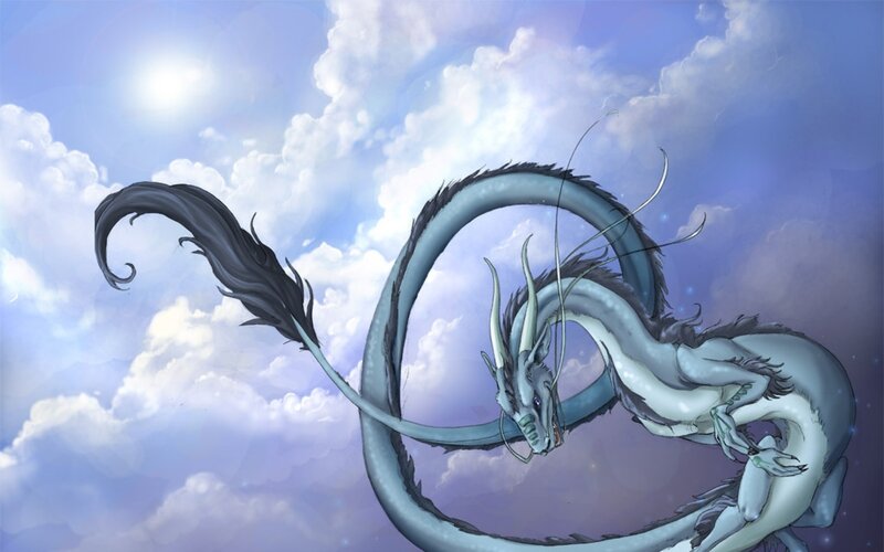 silver dragon in the sky