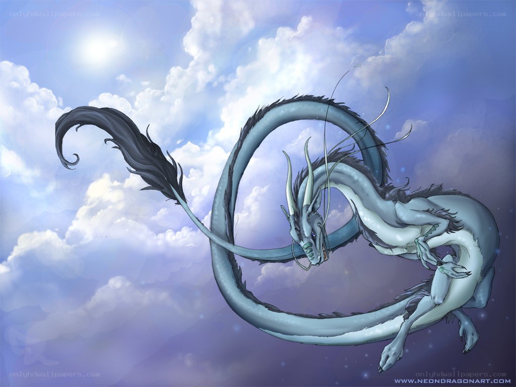 silver dragon in the sky