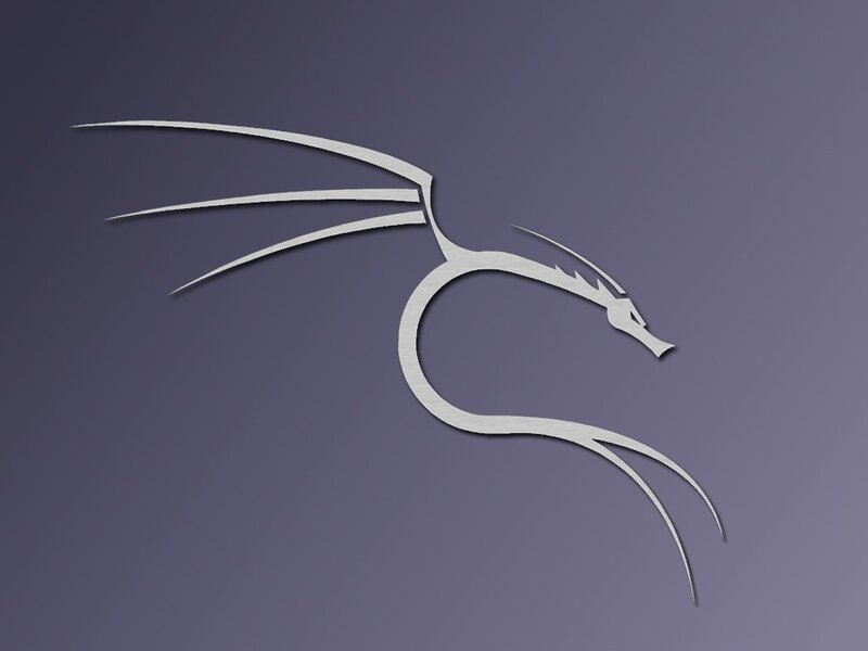 Silver Dragon Logo — Gray
