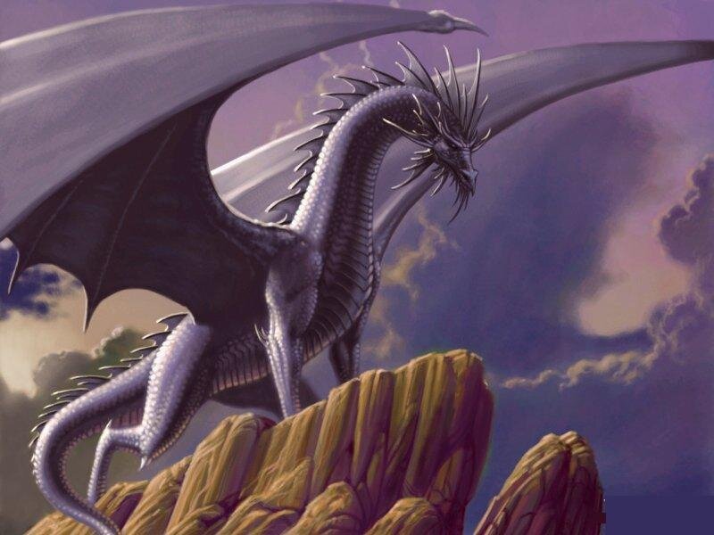 silver dragon on a cliff