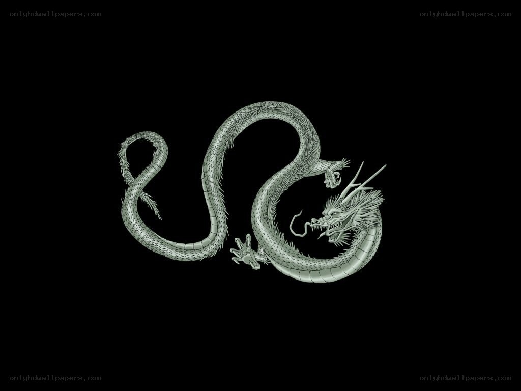 silver dragon on black