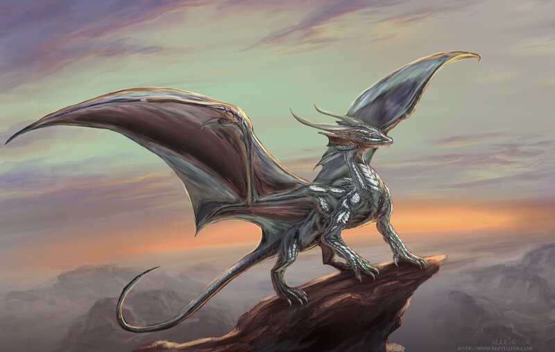Silver Dragon on Cliff — Gray, Dramatic