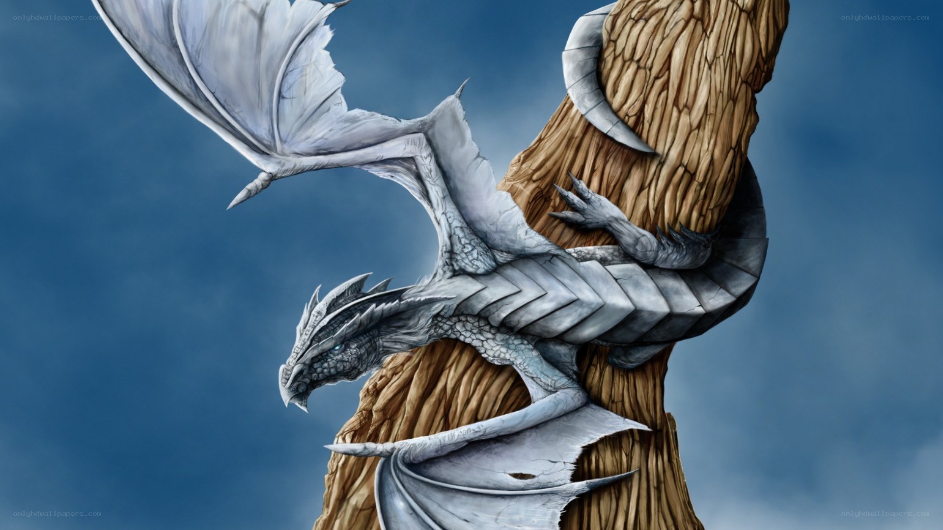 silver dragon on tree trunk