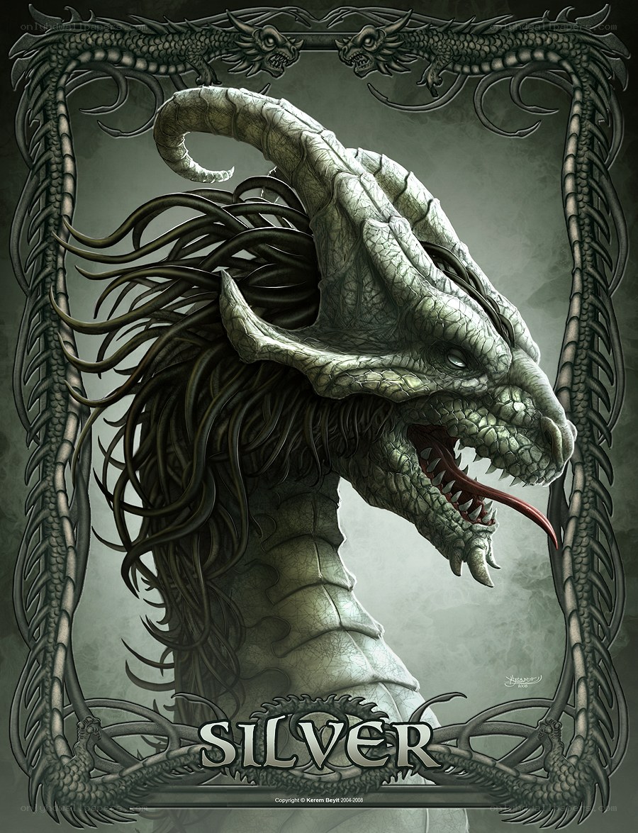 Silver Dragon Portrait