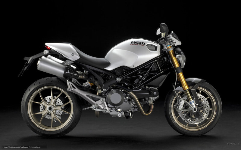 Silver Ducati Motorcycle — Dramatic, Photograph, Exhaust, Gold Forks
